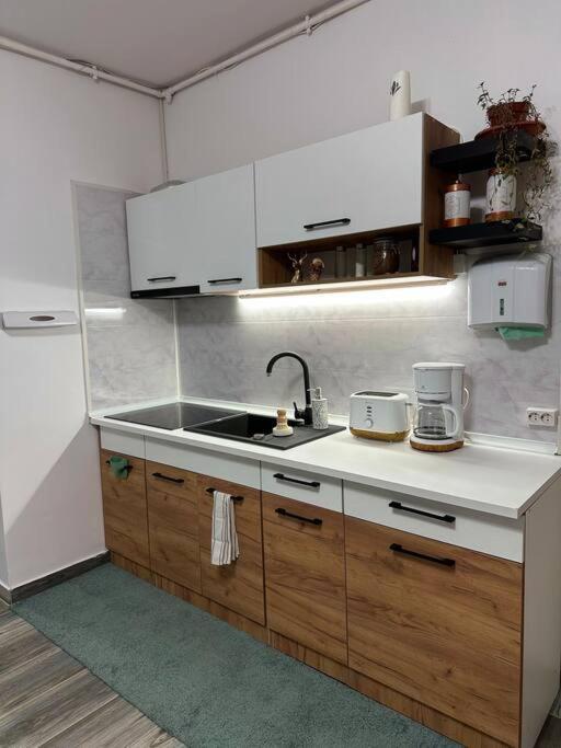 Zion Home Sibiu Exterior foto